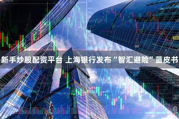 新手炒股配资平台 上海银行发布“智汇避险”蓝皮书