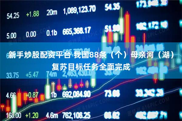 新手炒股配资平台 我国88条（个）母亲河（湖）复苏目标任务全面完成