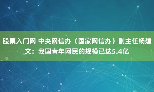股票入门网 中央网信办（国家网信办）副主任杨建文：我国青年网民的规模已达5.4亿