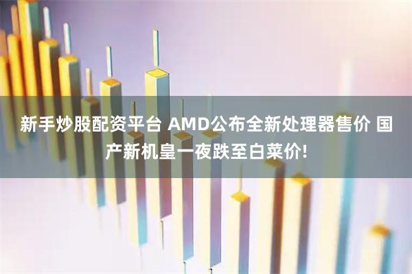 新手炒股配资平台 AMD公布全新处理器售价 国产新机皇一夜跌至白菜价!