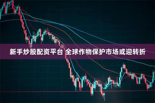 新手炒股配资平台 全球作物保护市场或迎转折