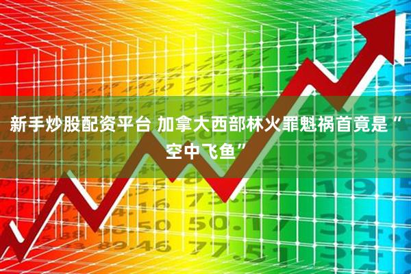 新手炒股配资平台 加拿大西部林火罪魁祸首竟是“空中飞鱼”
